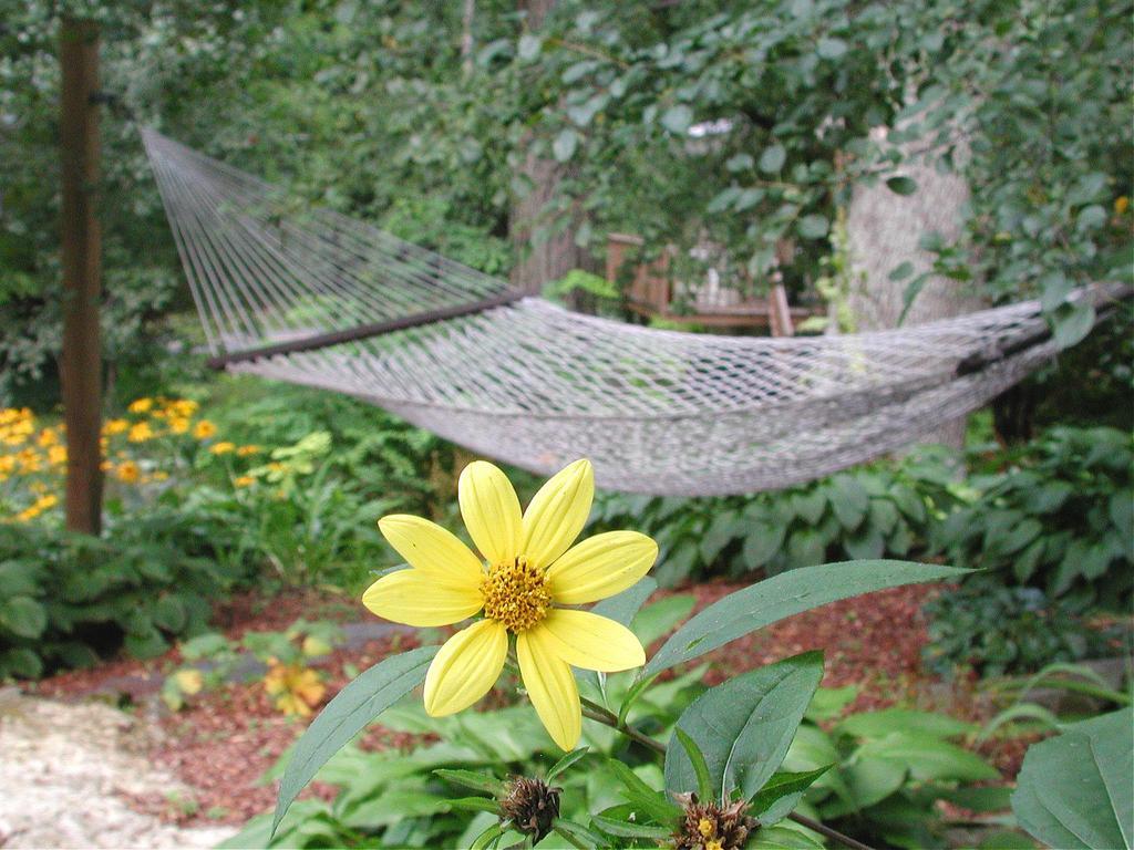 Brook Farm Inn Lenox Εξωτερικό φωτογραφία