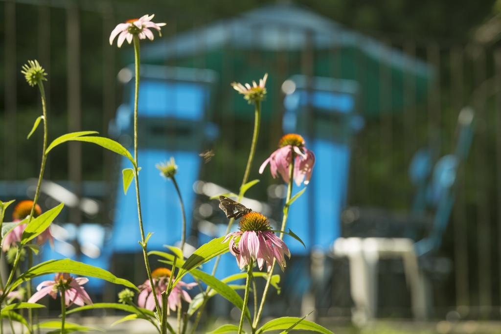 Brook Farm Inn Lenox Εξωτερικό φωτογραφία